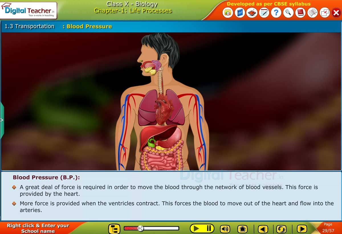 CBSE 10th Class Biology chapter 1 Life Processes, Transportation - Blood Pressure Lesson Explanation through Animated video content
